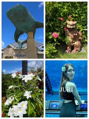 Juriの写メ日記｜ラグジュアリー 吉原高級店ソープ