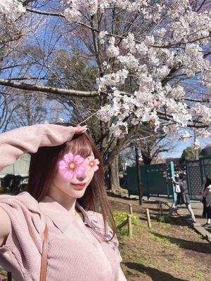 Asaの写メ日記｜ラグジュアリー 吉原高級店ソープ