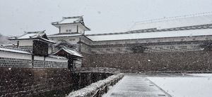 Neneの写メ日記｜ラグジュアリー 吉原高級店ソープ