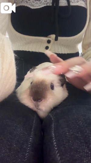 つむぎの写メ日記｜聖女～マリア～ 吉原高級店ソープ