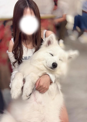 うたの写メ日記｜聖女～マリア～ 吉原高級店ソープ