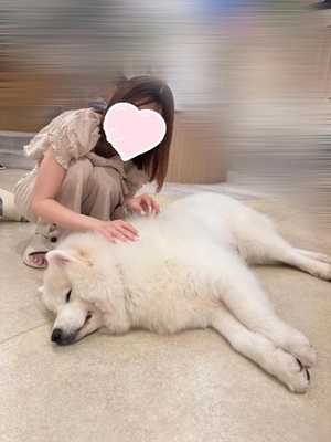 りんかの写メ日記｜聖女～マリア～ 吉原高級店ソープ