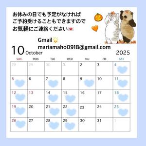 まほの写メ日記｜オペラ 吉原高級店ソープ