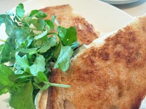 ほたるの写メ日記｜オペラ 吉原高級店ソープ