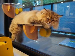 ほたるの写メ日記｜オペラ 吉原高級店ソープ