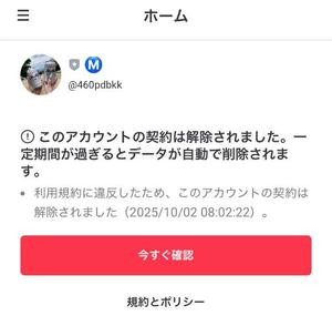 麻衣子の写メ日記｜王室 吉原高級店ソープ