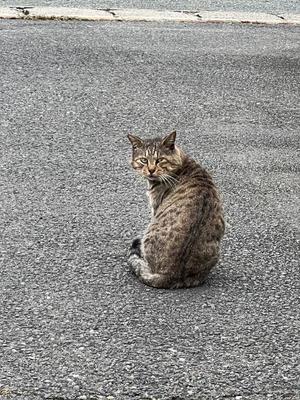 麻衣子の写メ日記｜王室 吉原高級店ソープ