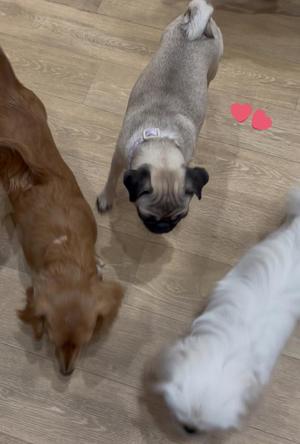 まりんの写メ日記｜王室 吉原高級店ソープ