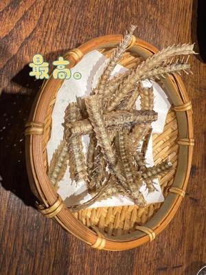 めいの写メ日記｜王室 吉原高級店ソープ