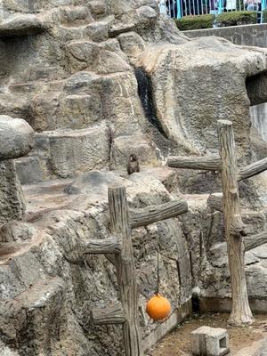 めいの写メ日記｜王室 吉原高級店ソープ