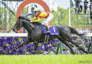 ナナの写メ日記｜王室 吉原高級店ソープ