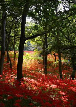 みやびの写メ日記｜王室 吉原高級店ソープ