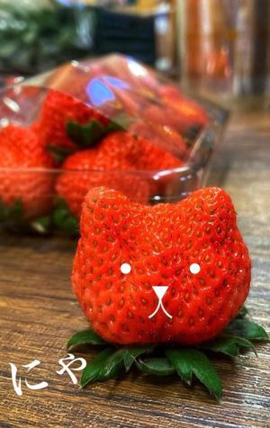 みやびの写メ日記｜王室 吉原高級店ソープ