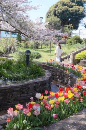 みやびの写メ日記｜王室 吉原高級店ソープ