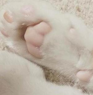 七瀬の写メ日記｜王室 吉原高級店ソープ