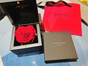 花の写メ日記｜王室 吉原高級店ソープ