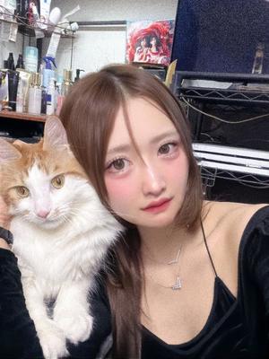 理紗の写メ日記｜王室 吉原高級店ソープ