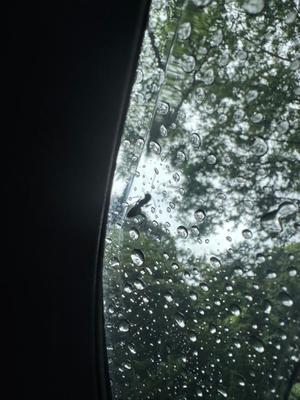 杉咲の写メ日記｜パンドラ 吉原高級店ソープ