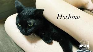 星野の写メ日記｜パンドラ 吉原高級店ソープ