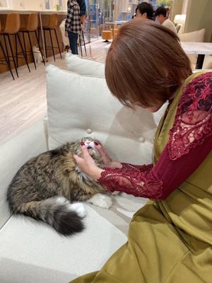 星野の写メ日記｜パンドラ 吉原高級店ソープ