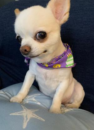 姫野の写メ日記｜パンドラ 吉原高級店ソープ