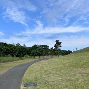 桜井の写メ日記｜パンドラ 吉原高級店ソープ