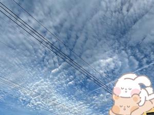 桜井の写メ日記｜パンドラ 吉原高級店ソープ