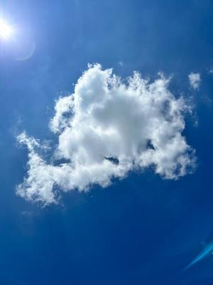 桜井の写メ日記｜パンドラ 吉原高級店ソープ