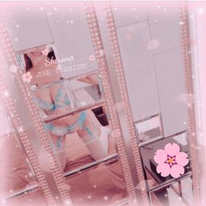 Shironaの写メ日記｜プレミアム 川崎高級店ソープ