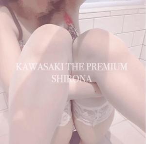 Shironaの写メ日記｜プレミアム 吉原高級店ソープ