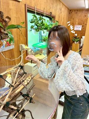 Komachiの写メ日記｜プレミアム 吉原高級店ソープ