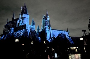 Rinkaの写メ日記｜プレミアム 吉原高級店ソープ