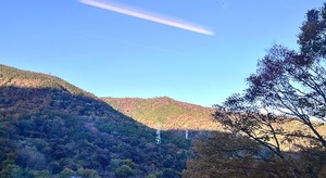 Rinkaの写メ日記｜プレミアム 吉原高級店ソープ