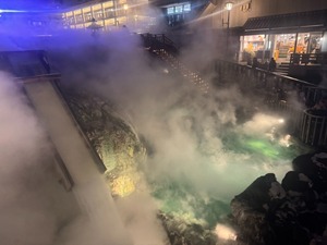 Ioの写メ日記｜プレミアム 吉原高級店ソープ