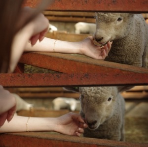 Mitsuの写メ日記｜プレミアム 吉原高級店ソープ
