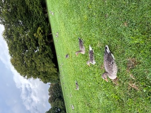 Kashuの写メ日記｜プレミアム 吉原高級店ソープ