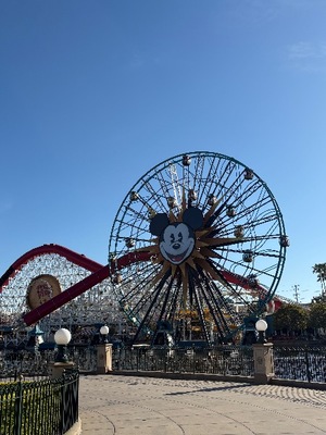 Kashuの写メ日記｜プレミアム 吉原高級店ソープ