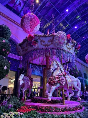 Kashuの写メ日記｜プレミアム 吉原高級店ソープ