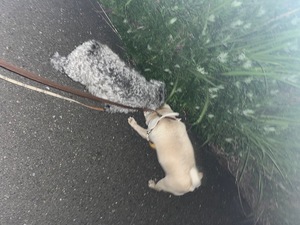 Kuraraの写メ日記｜プレミアム 川崎高級店ソープ