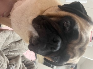 Kuraraの写メ日記｜プレミアム 吉原高級店ソープ