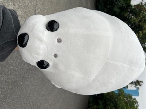 Kuraraの写メ日記｜プレミアム 吉原高級店ソープ