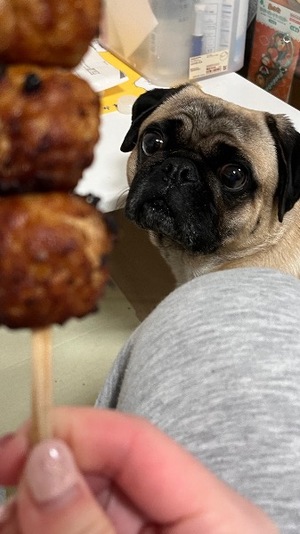 Kuraraの写メ日記｜プレミアム 吉原高級店ソープ