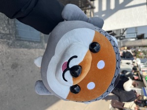 Kuraraの写メ日記｜プレミアム 吉原高級店ソープ