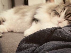 Misakiの写メ日記｜プレミアム 吉原高級店ソープ