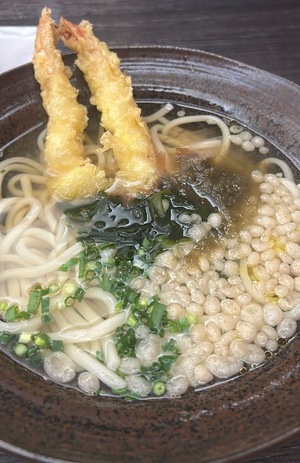 Wakabaの写メ日記｜プレミアム 川崎高級店ソープ