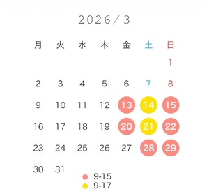 Wakabaの写メ日記｜プレミアム 吉原高級店ソープ