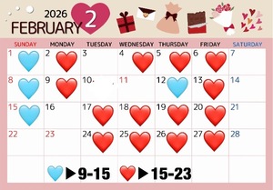 Ichikaの写メ日記｜プレミアム 川崎高級店ソープ