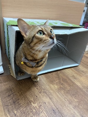 Ritoの写メ日記｜プレミアム 吉原高級店ソープ