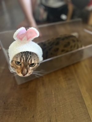 Ritoの写メ日記｜プレミアム 吉原高級店ソープ