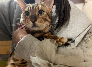 Ritoの写メ日記｜プレミアム 吉原高級店ソープ